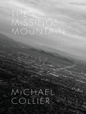 cover image of The Missing Mountain